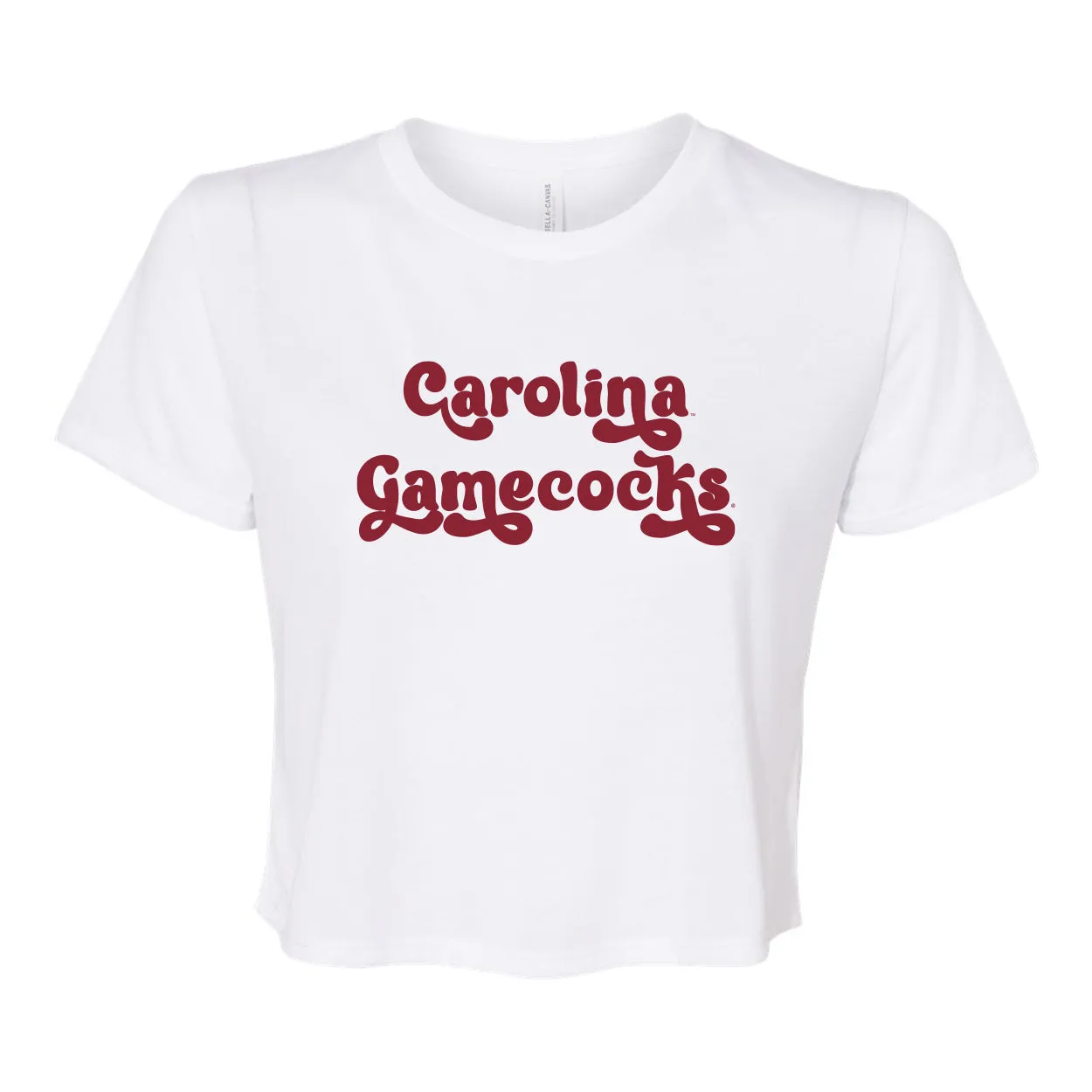 Pep Rally Crop Short Sleeve T-shirt in University of South Carolina